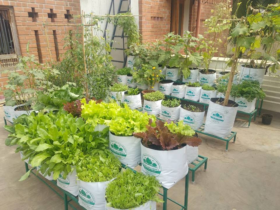 Grow Bags